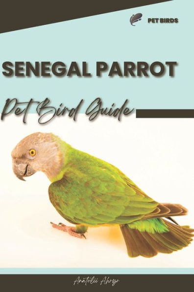 Senegal Parrot: Pet bird guide
