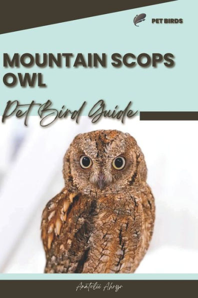 Mountain Scops Owl: Pet bird guide