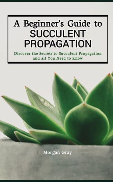 A Beginner's Guide to Succulent Propagation: Discover the Secrets to Succulent Propagation and all You Need to Know