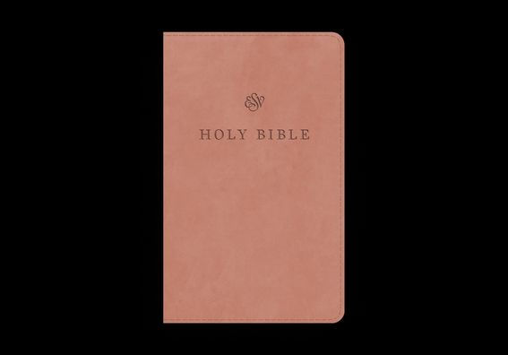 ESV Premium Church Bible, Large Print (TruTone, Blush Rose)