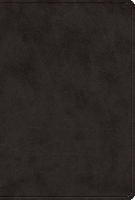 ESV Value Large Print Compact Bible (TruTone, Black)