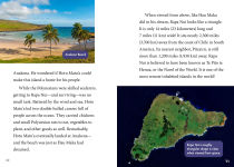 Alternative view 2 of Life in the Rapa Nui Empire: An Interactive Ancient History Adventure