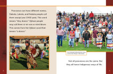 Alternative view 4 of Powwows