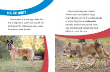 Alternative view 2 of Dogs and Wolves: Canine Relatives