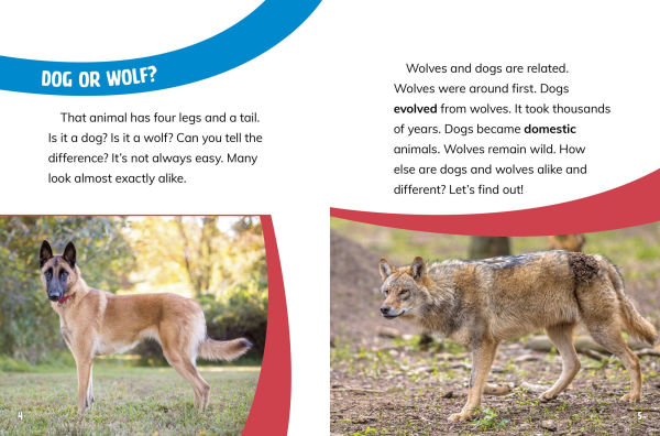 Dogs and Wolves: Canine Relatives
