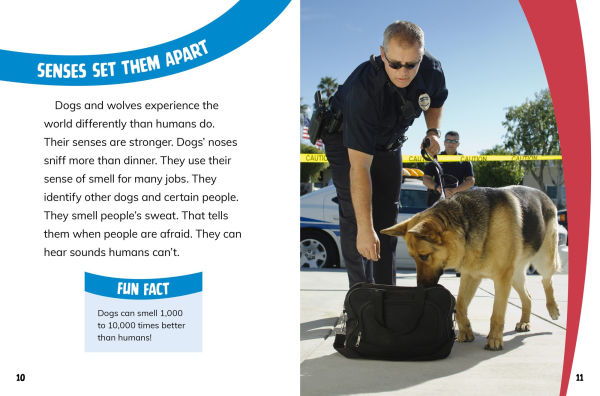 Dogs and Wolves: Canine Relatives