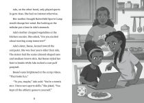 Alternative view 3 of Pickleball Problems