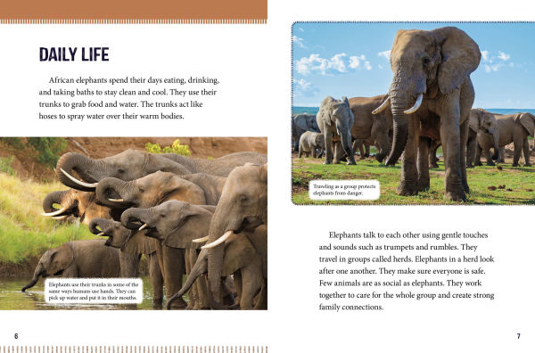 African Elephants at Risk: Saving These Majestic Mammals