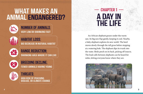 African Elephants at Risk: Saving These Majestic Mammals