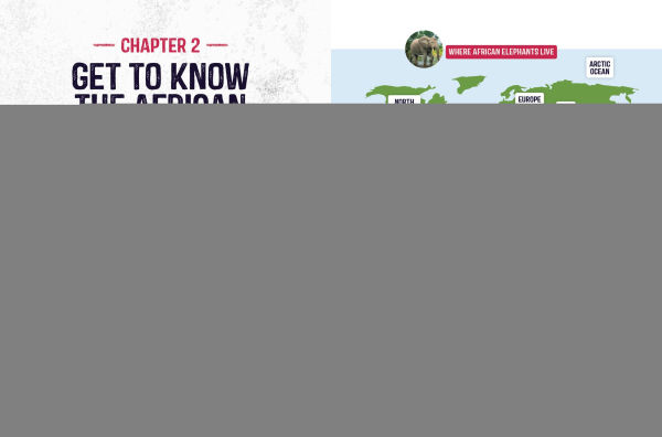 African Elephants at Risk: Saving These Majestic Mammals