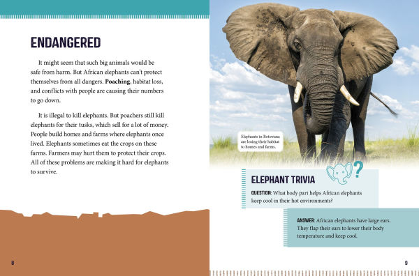 African Elephants at Risk: Saving These Majestic Mammals