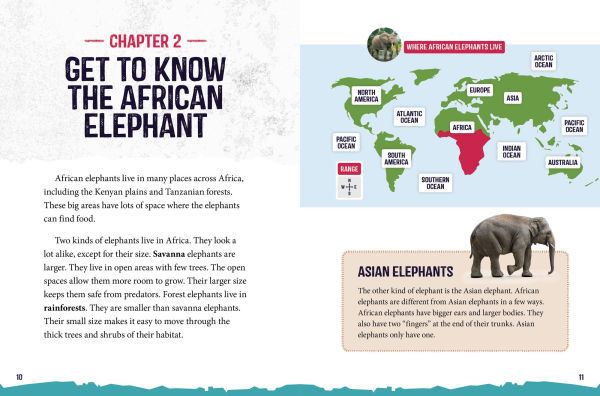 African Elephants at Risk: Saving These Majestic Mammals