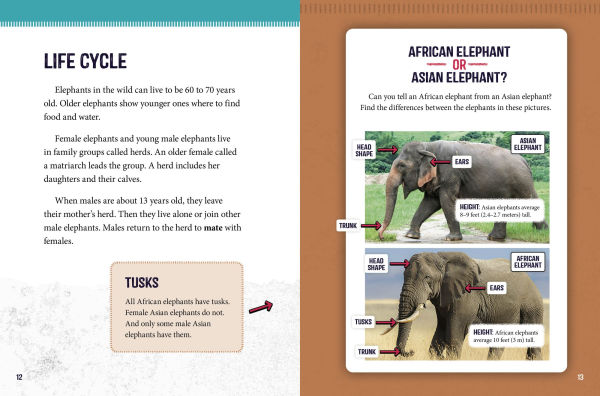 African Elephants at Risk: Saving These Majestic Mammals