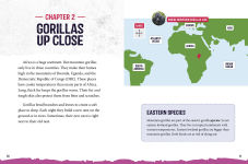 Alternative view 6 of Mountain Gorillas at Risk: Saving These Great Apes