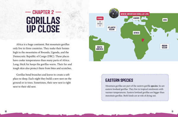 Mountain Gorillas at Risk: Saving These Great Apes