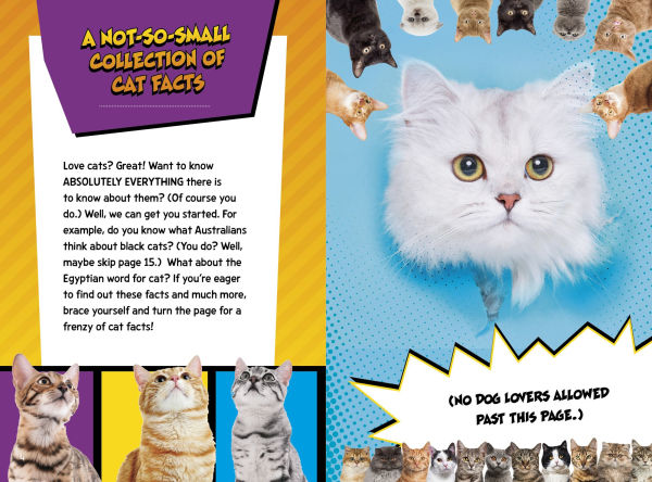 Cat Fact Frenzy!
