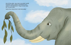 Alternative view 4 of My Elephant Life