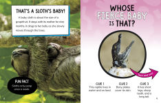 Alternative view 6 of Whose Fluffy Baby Is That?