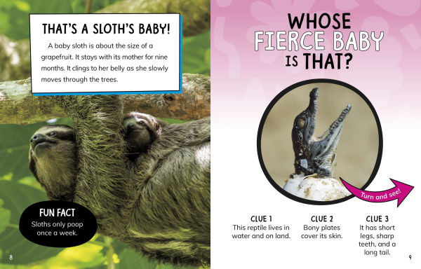 Whose Fluffy Baby Is That?