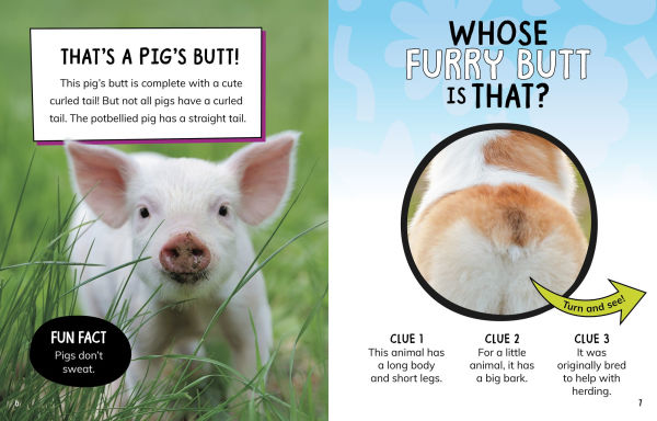 Whose Furry Butt Is That?