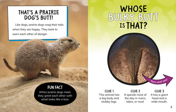Whose Furry Butt Is That?