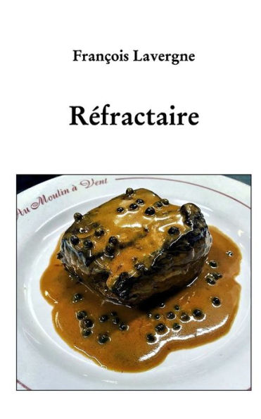 Rï¿½fractaire