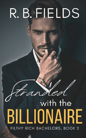 Stranded with the Billionaire: A Steamy Enemies-to-Lovers Forced Proximity Billionaire Romance: