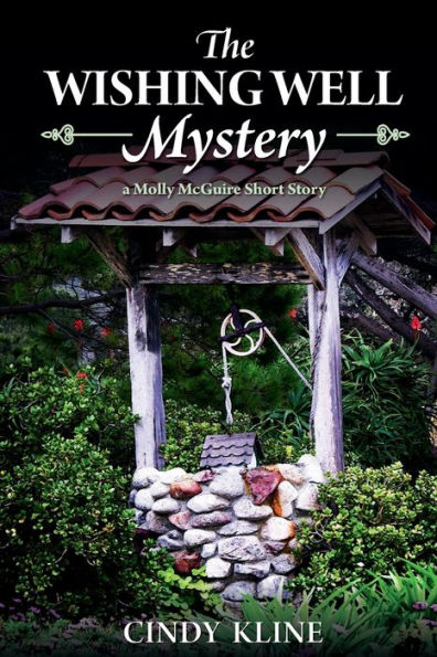 The Wishing Well Mystery