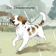Title: The Adventures of Baby Duke: The Thunderstorm:, Author: Allison Milam