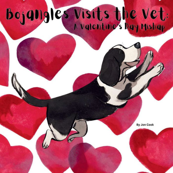 Bojangles Visits the Vet: A Valentine's Day Mishap