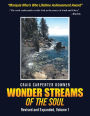 Wonder Streams Of The Soul: REVISED & EXPANDED, VOLUME 1