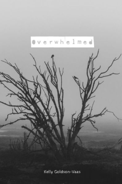 Overwhelmed: A Prayer Book