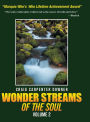 Wonder Streams Of The Soul: Volume 2: