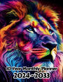 Abstract Lion 10 Year Monthly Planner v13: Large 120 Month Planner Gift For People Who Love Cats, Animal Lovers 8.5 x 11 Inches 242 Pages