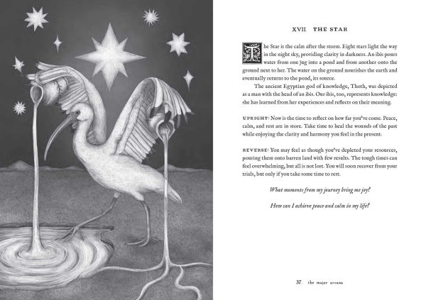 Tarot of the Woodland Wardens: 78-Card Deck & Guidebook