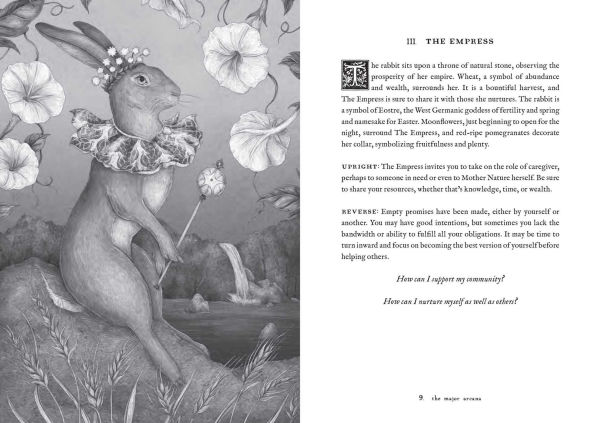 Tarot of the Woodland Wardens: 78-Card Deck & Guidebook