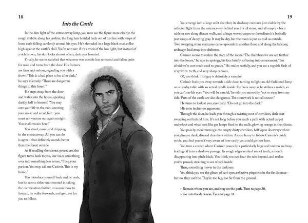 Night at the Vampire Castle: A Choose-Your-Own Romance