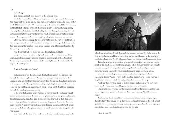 Night at the Vampire Castle: A Choose-Your-Own Romance