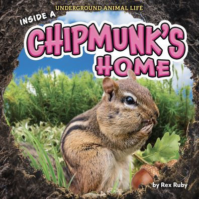 Inside a Chipmunk's Home