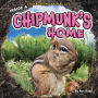 Inside a Chipmunk's Home