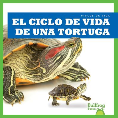 El Ciclo de Vida Una Tortuga (a Turtle's Life Cycle)