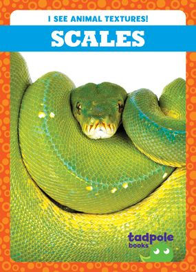 Scales