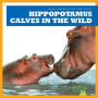Hippopotamus Calves in the Wild