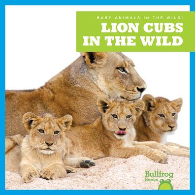 Lion Cubs the Wild