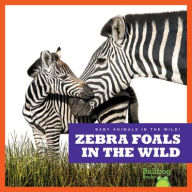 Title: Zebra Foals in the Wild, Author: Marie Brandle