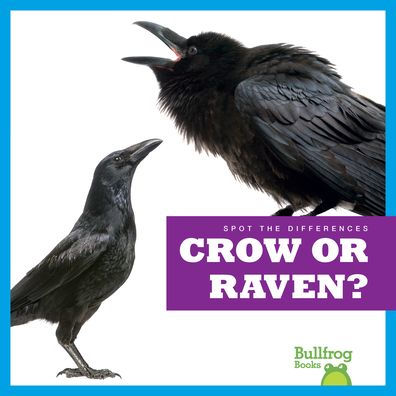 Crow or Raven?