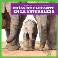 Title: Crï¿½as de Elefante En La Naturaleza (Elephant Calves in the Wild), Author: Marie Brandle