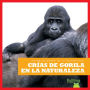 Crï¿½as de Gorila En La Naturaleza (Gorilla Infants in the Wild)