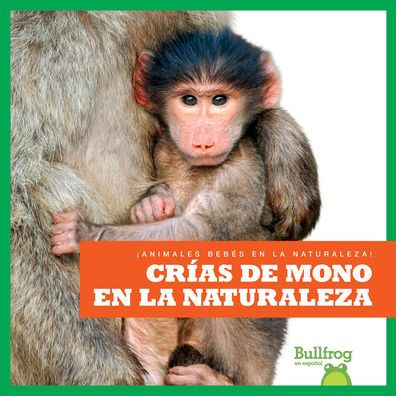 Crï¿½as de Mono En La Naturaleza (Monkey Infants the Wild)