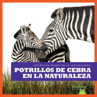 Title: Potrillos de Cebra En La Naturaleza (Zebra Foals in the Wild), Author: Marie Brandle